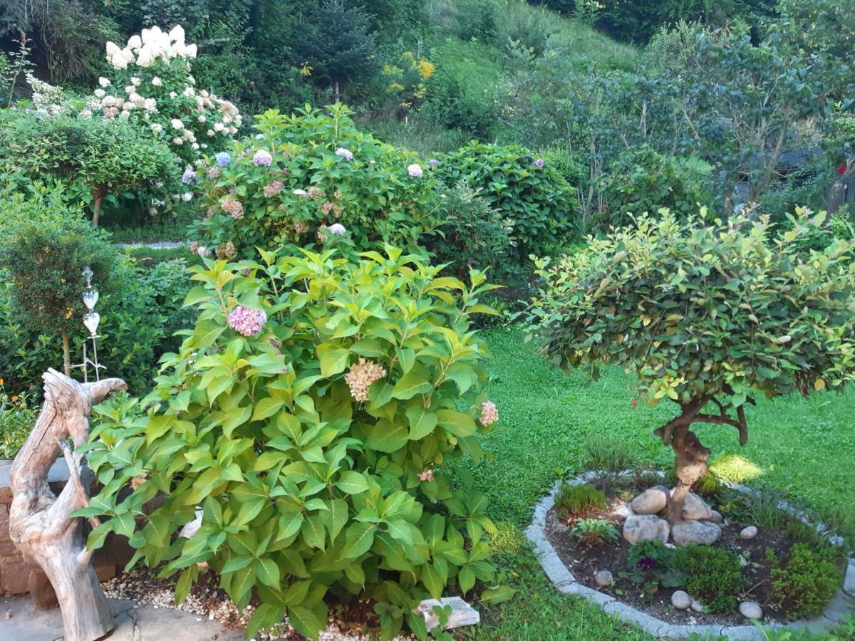 Top Garden View Volders Eksteriør bilde